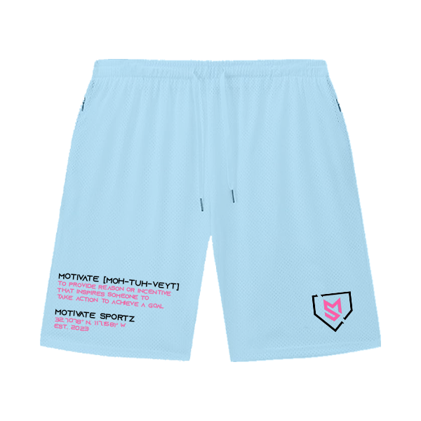 Training Shorts (Mesh)