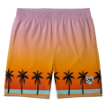 Load image into Gallery viewer, Lifestyle Shorts