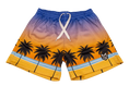 Load image into Gallery viewer, Lifestyle Shorts