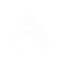 Perfect Pinch of Salt