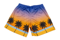 Load image into Gallery viewer, Lifestyle Shorts
